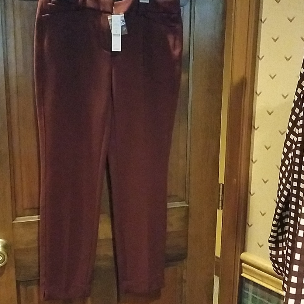 The Limited pants